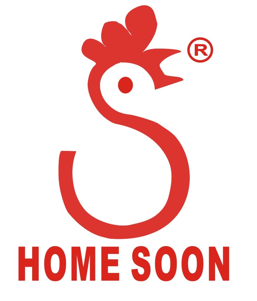 HOME SOON ENTERPRISE CO., LTD logo