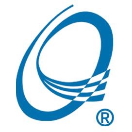 WYSER INTERNATIONAL CORP. logo