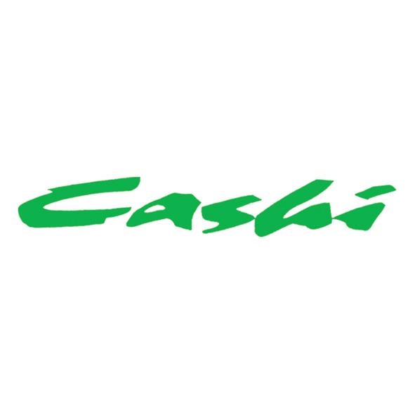 CASHI COMPONENTS CORP. (俐業股份有限公司) logo